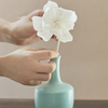 FSTD 2216 Ceramic Reed Diffuser 100ml