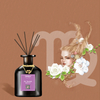 FSTD 2112 Constellation Reed Diffuser