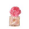 FSTD 2178 200ml Solar Flower Fragranced Diffuser with Decaled Glass Bottle