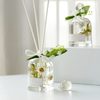 FSTD 2176 80ml Preserved Flower Scented Reed Diffuser