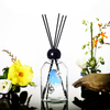 FSTD 2236 Glass Reed Diffuser with Plastic Lid