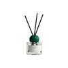 FSTD 2214 glass reed diffuser with lid