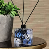 FSTD 2109 glass reed diffuser 100ml