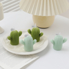 HWSP 2323 Cactus Candle
