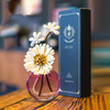 FSTD 2218 Glass Reed Diffuser with Solar Flowers