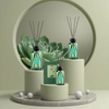 FSTD 2123 Set 3 Larger Glass Jar Reed Diffuser with Wooden Lid