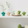 HWSP 2323 Cactus Candle