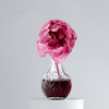 FSTD 2217 Glass Vase Reed Diffuser with Solar Flower