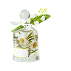 FSTD 2176 80ml Preserved Flower Scented Reed Diffuser