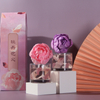 FSTD 2178 200ml Solar Flower Fragranced Diffuser with Decaled Glass Bottle