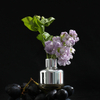 FSTD 2155 Electroplated Glass Reed Diffuser