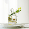 FSTD 2176 80ml Preserved Flower Scented Reed Diffuser