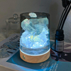HWCA 2455 Natural Scented Stone Diffuser Set