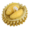 HWSP 2312 Durian Candle