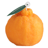HWSP 2301 Orange Candle