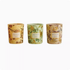 HWCA 2412 Decaled Glass Jar Candle