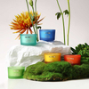 HWCD 2301 One Week Fragranced Candle Set