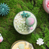 HWCA 2444 Succulent Plant Candle