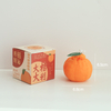 HWSP 2301 Orange Candle