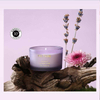 HWCD 2301 One Week Fragranced Candle Set