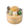 HWCA 2444 Succulent Plant Candle
