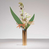 HWDF 2211 Scented Paper Air Freshener