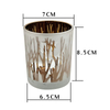 HWCH 2511 Hollow Frosted Glass Candle Jar