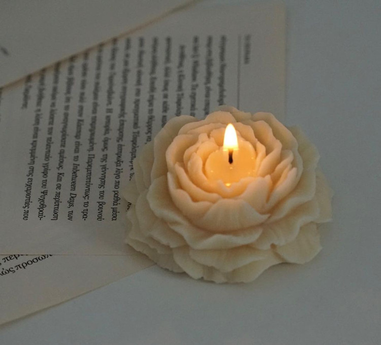 O1CN01zT4BWM1WyYUAs7U1s_!!1990392857