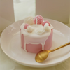 HWCA 2422 Fruit Cake Candle