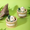 HWCA 2442 Panda Bamboo Candle