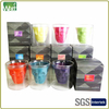 HW15D 004 Double Layered Glass Soy Wax Candle