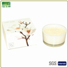 HWGBC 039 3 Wicks Jar Canlde